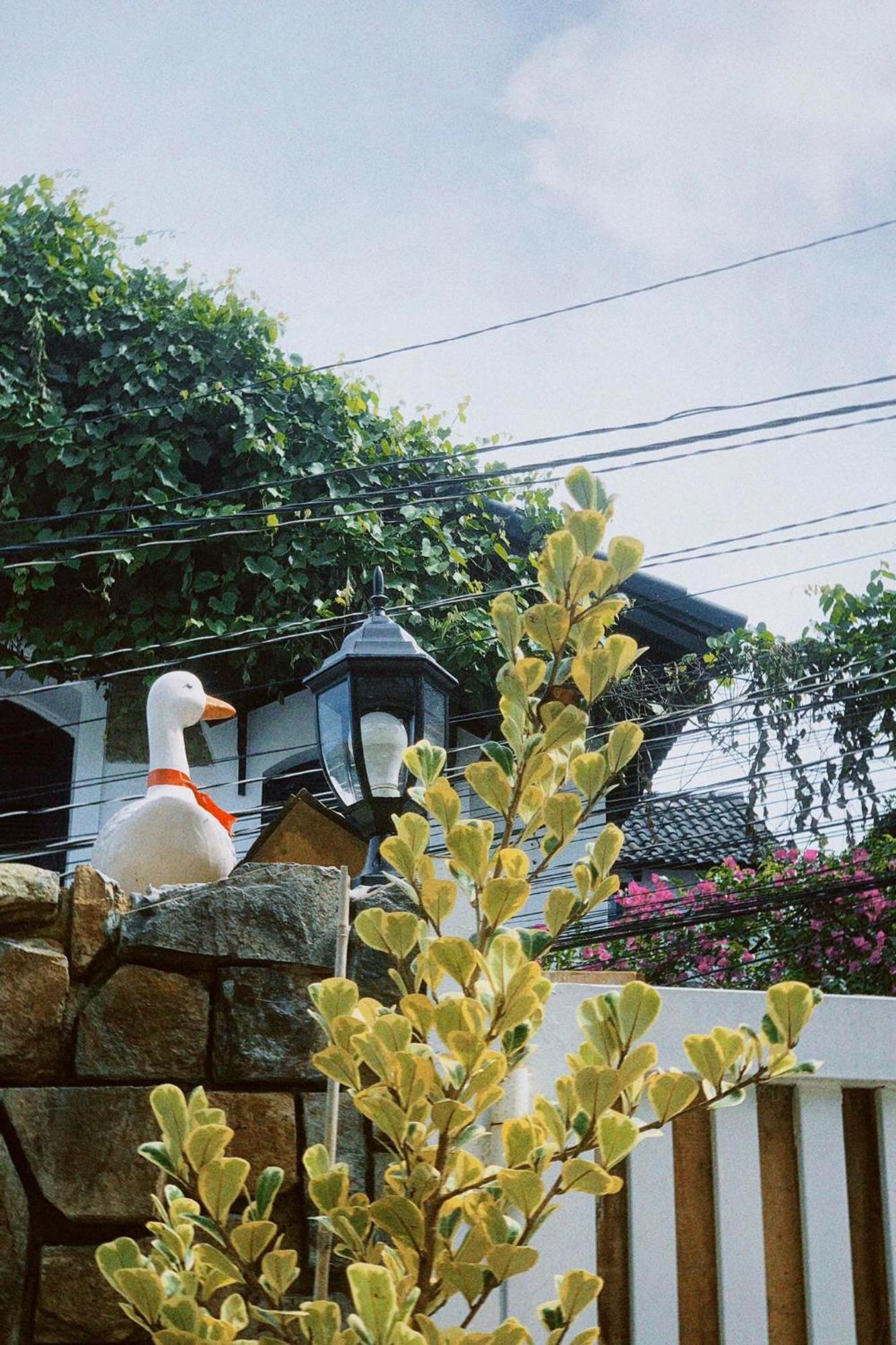Chai Nho Homestay Dalat Exterior foto